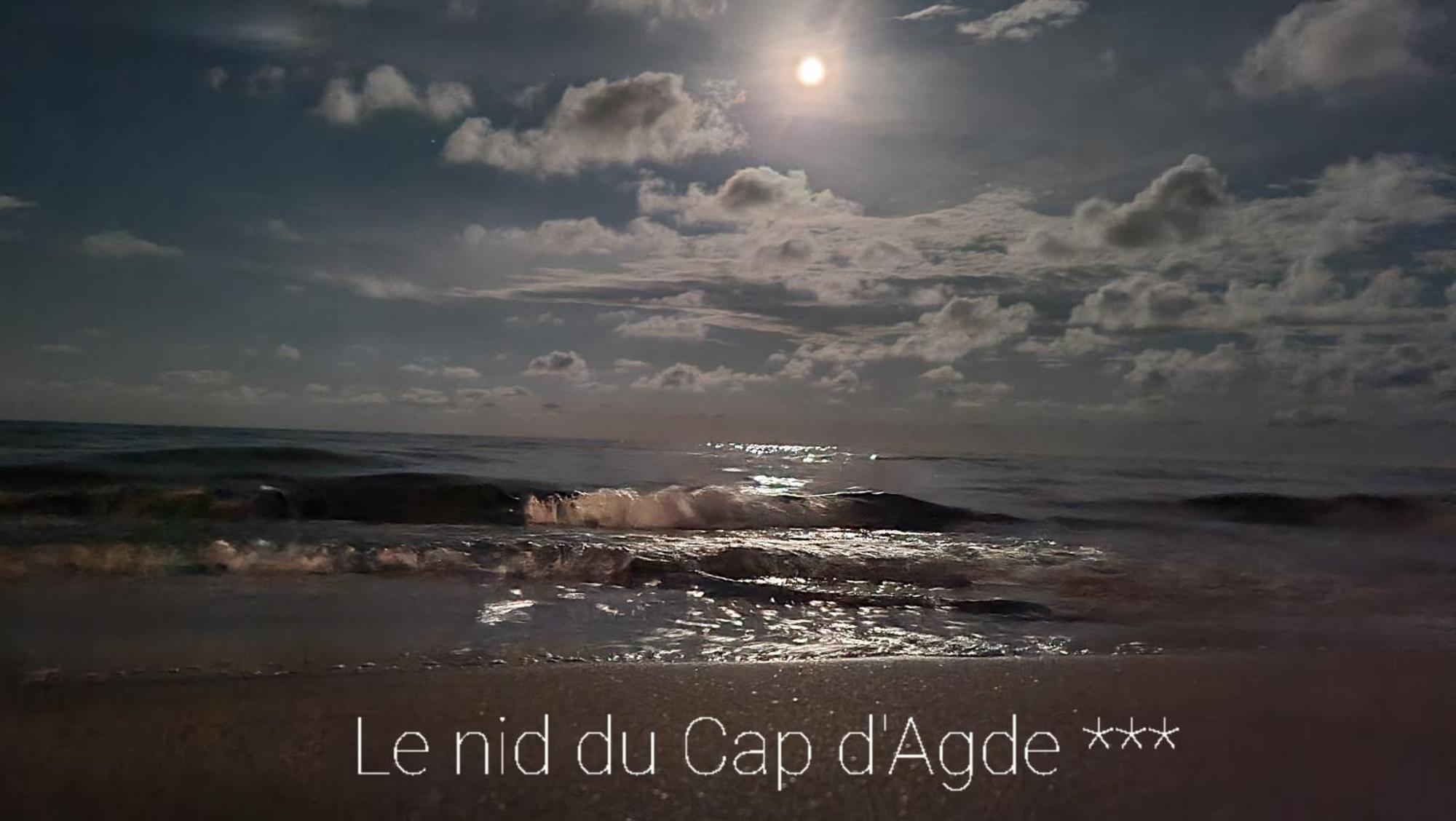 Residence De Standing La Pecherie Spacieux T3 Comme Un Cocon Familial Vue Mer Et Sur L'Avant Port Sur Le Bout Du Bout De Cap D'Agde Seule Cap En Occitanie Eksteriør bilde