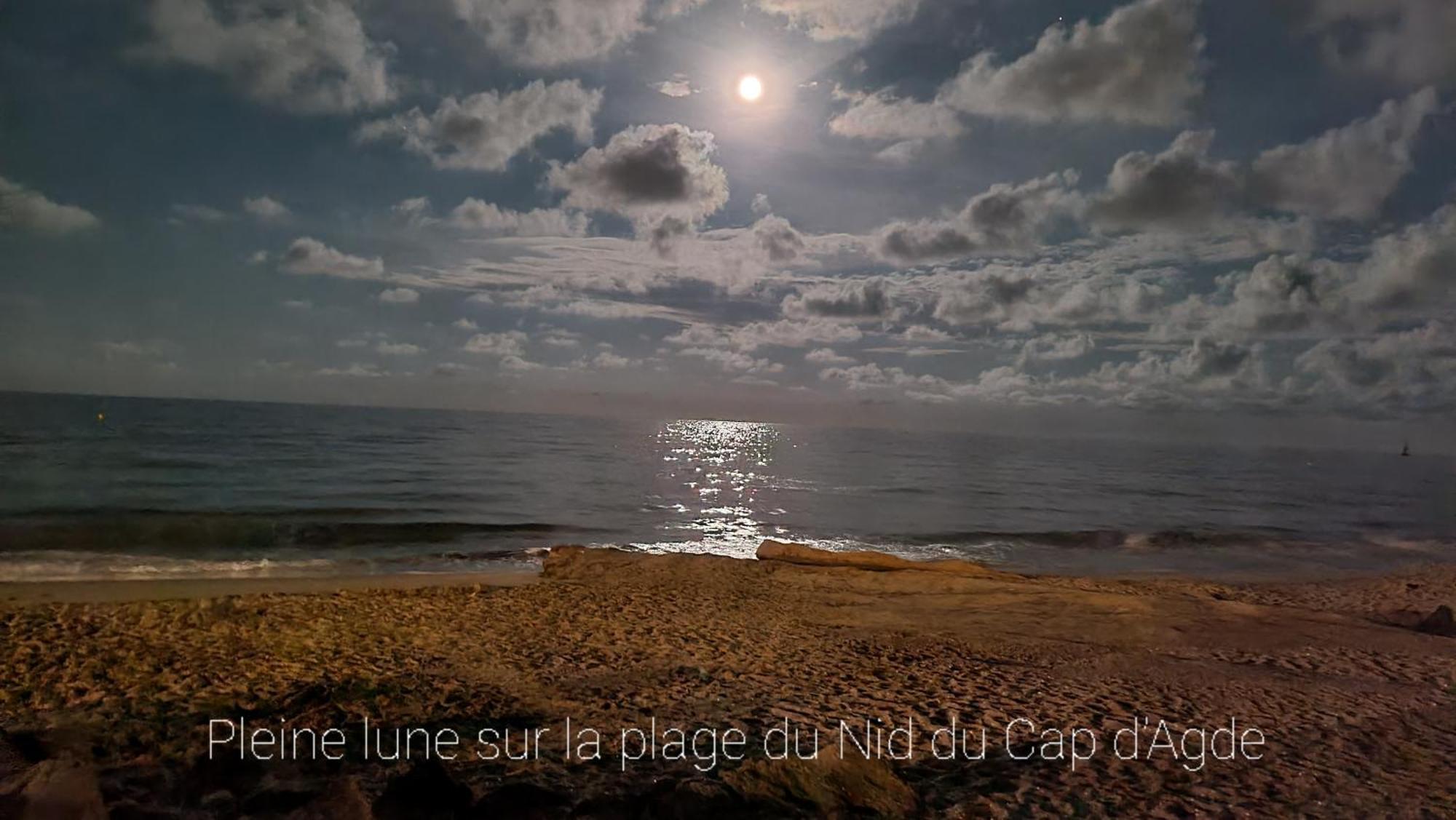 Residence De Standing La Pecherie Spacieux T3 Comme Un Cocon Familial Vue Mer Et Sur L'Avant Port Sur Le Bout Du Bout De Cap D'Agde Seule Cap En Occitanie Eksteriør bilde