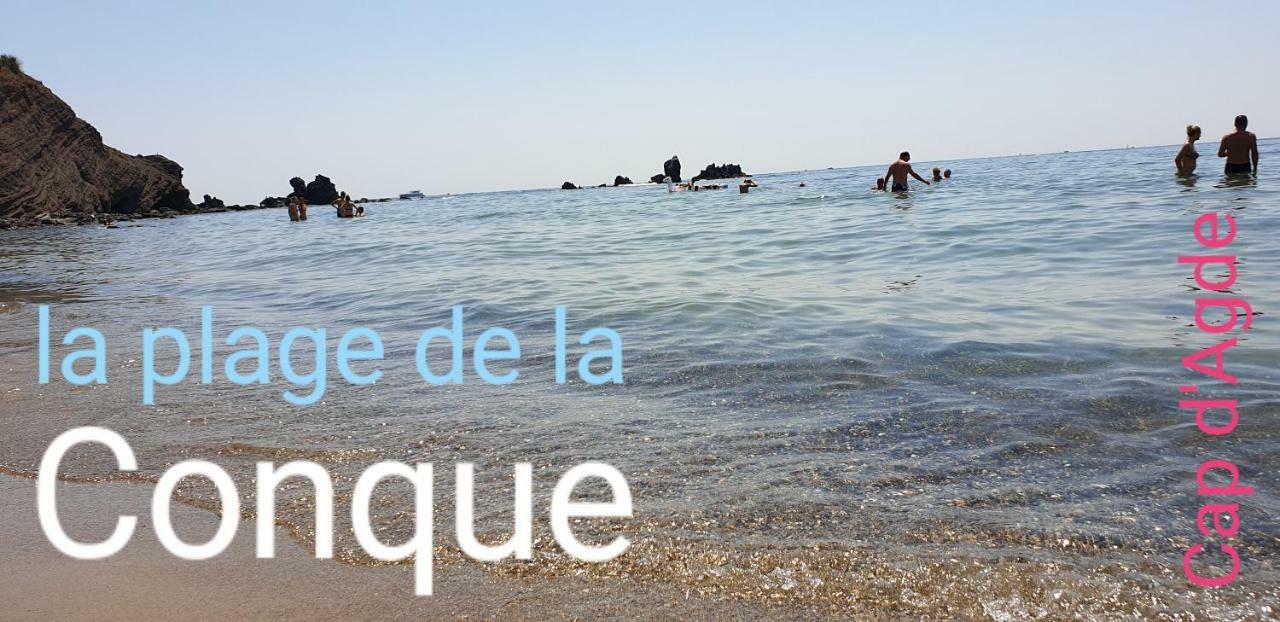 Residence De Standing La Pecherie Spacieux T3 Comme Un Cocon Familial Vue Mer Et Sur L'Avant Port Sur Le Bout Du Bout De Cap D'Agde Seule Cap En Occitanie Eksteriør bilde
